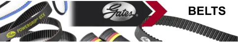 BELTS